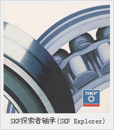 SKF̽S(SKF Explorer)